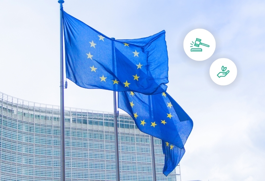 European union sustainability regulation changes summer 2025 1